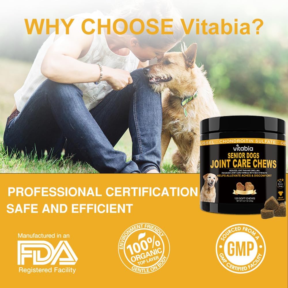 Dog Joint Supplement for Senior Dogs ā High Strength Dog Joint Care with Glucosamine, Chondroitin, Turmeric, Salmon Oil Omega 3, Green Lipped Mussel ā Joint Care for Dogs ā 120 Chew Treats
