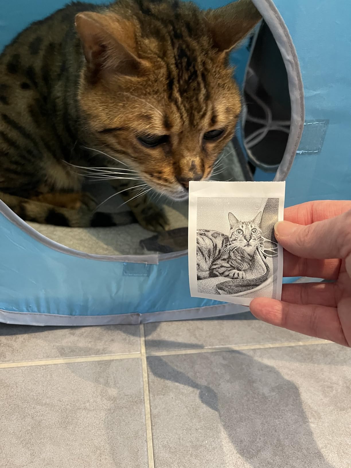 Mini Pocket Photo Printer Bluetooth and Portable Label Maker