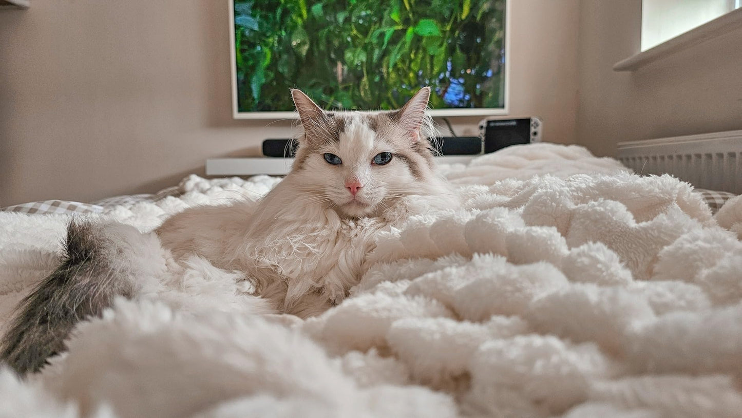 New Fluffy Fleece Throw Blanket for Sofa Cosy Warm Blankets for Bed, Soft Cute Single Throw Gifts for Women and Girls