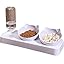 3-In-1 Cat Food And Water Bowl Set, Cat Bowls with Stand, Double Cat Bowls with Water Dispenser, Food And Water Feeder for Small Medium Dogs Cats