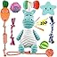 10 Pack Dog Toys Puppy Toys from 8 Weeks Small Dog Interactive Rope Toys Indestructible Tough Puppy Chew Toys