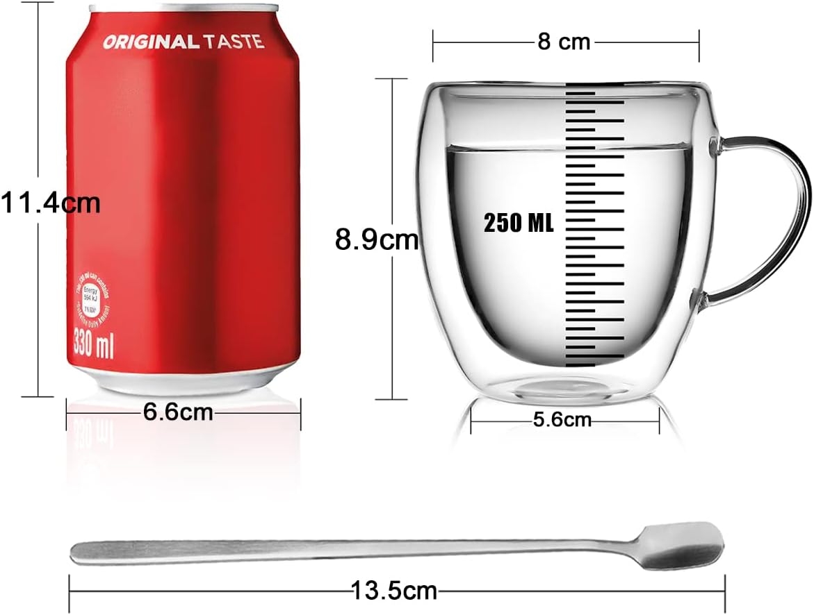 LIBWYS 2 Pack 250ml Double Walled Glass Coffee Mugs with 2 Spoons, Cappuccino Latte Tea Cups with Handle, Heat Resistant Drinking Glasses Cappuccino Cup