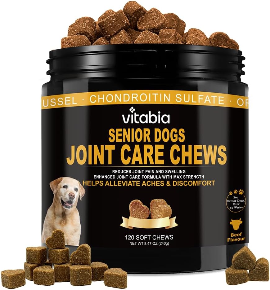 Dog Joint Supplement for Senior Dogs – High Strength Dog Joint Care with Glucosamine, Chondroitin, Turmeric, Salmon Oil Omega 3, Green Lipped Mussel – Joint Care for Dogs – 120 Chew Treats