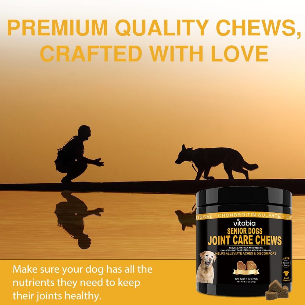 Dog Joint Supplement for Senior Dogs – High Strength Dog Joint Care with Glucosamine, Chondroitin, Turmeric, Salmon Oil Omega 3, Green Lipped Mussel – Joint Care for Dogs – 120 Chew Treats