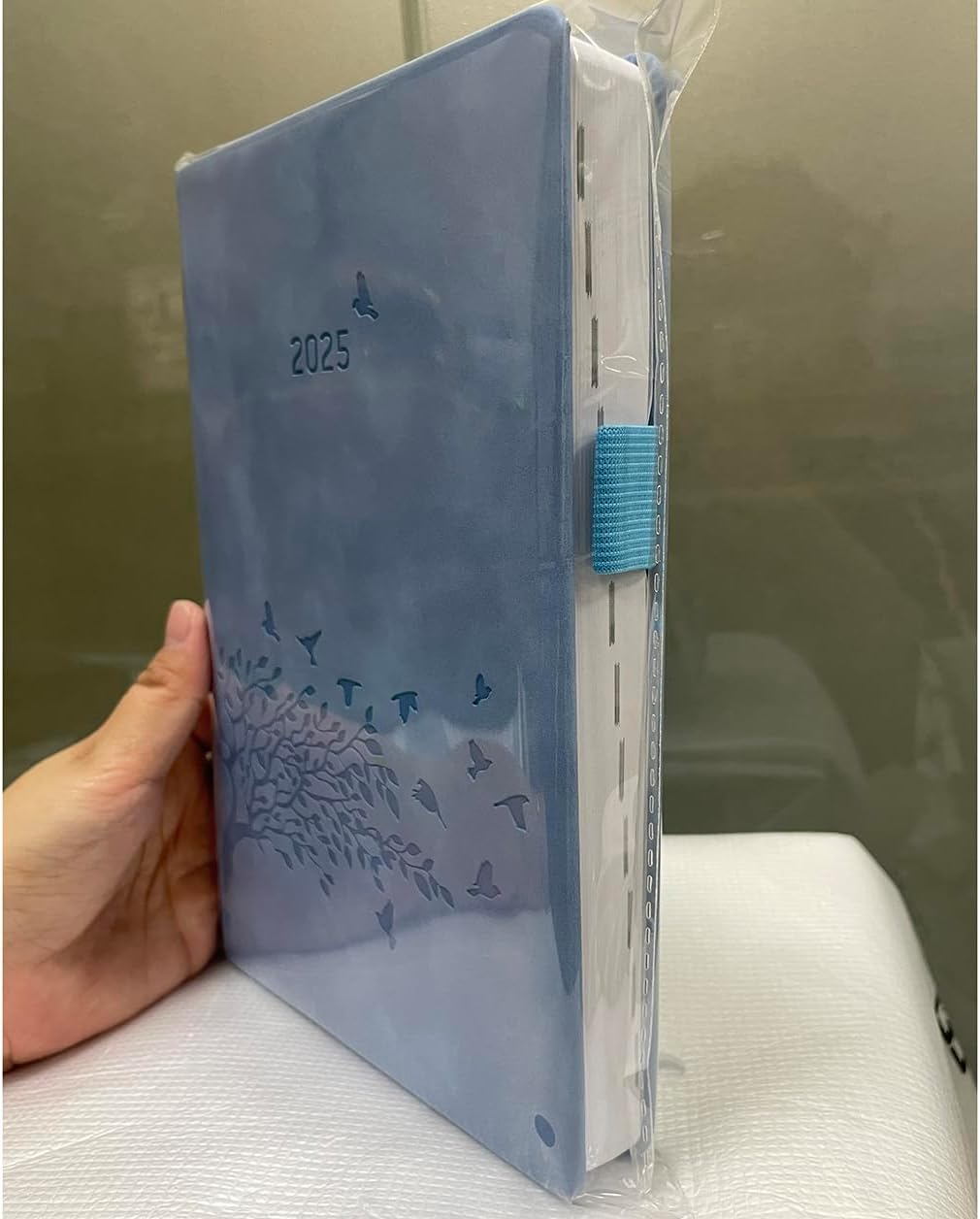 2025 Diary A5 Page a Day with Time, Monthly Overview, Pen Holder, 2 Bookmarks, Back Pocket, Hardcover, Daily Planner Extra Notes UK Holiday, Elastic Closure, Jan.25 - Dec.25, Day per Page