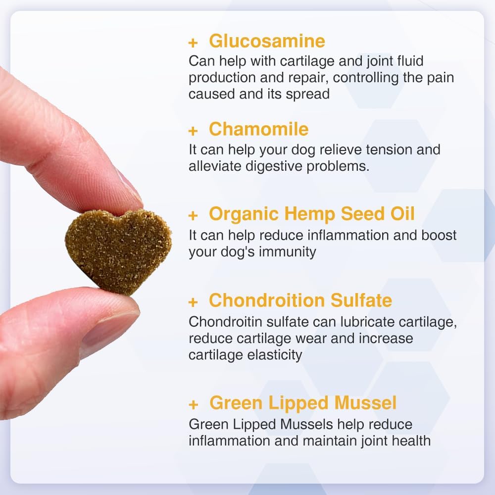 Dog Joint Supplement for Senior Dogs – High Strength Dog Joint Care with Glucosamine, Chondroitin, Turmeric, Salmon Oil Omega 3, Green Lipped Mussel – Joint Care for Dogs – 120 Chew Treats