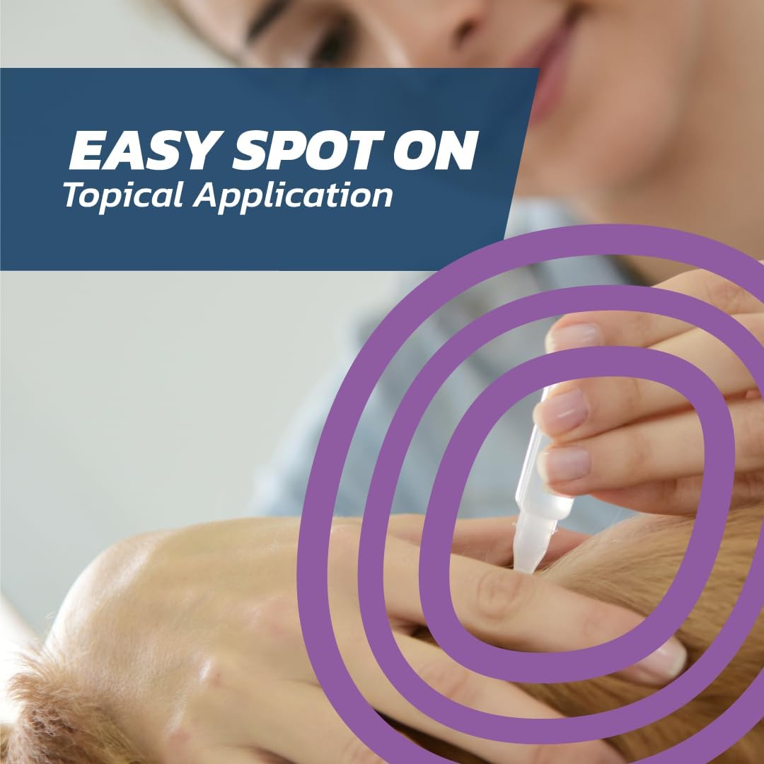 Dog Flea Treatment Extra Large Dogs x 6 - Flea Treatment for Dogs XL Very Large Dog 40-60 kg