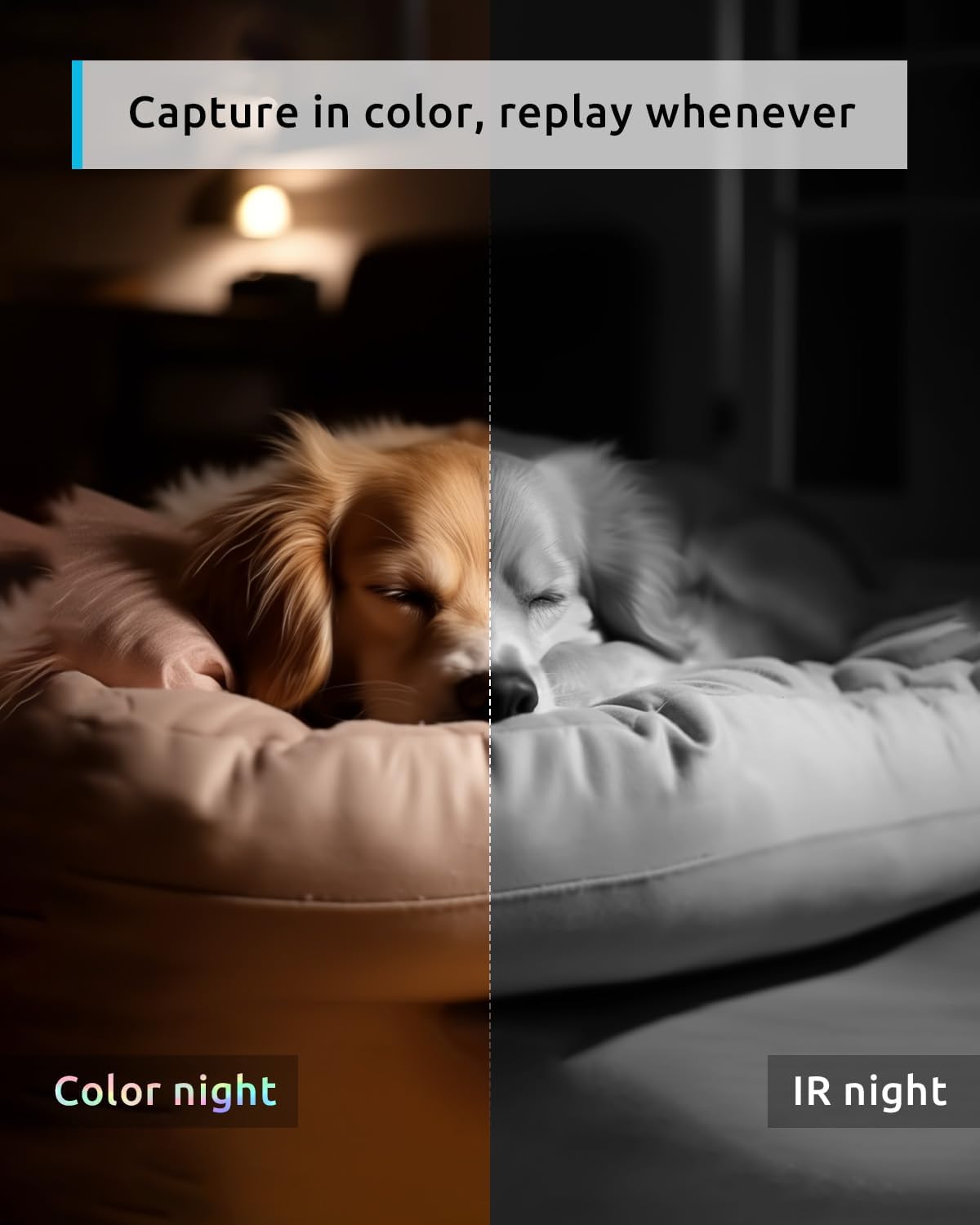 Indoor Security Camera 1080P with 360° View and Night Vision