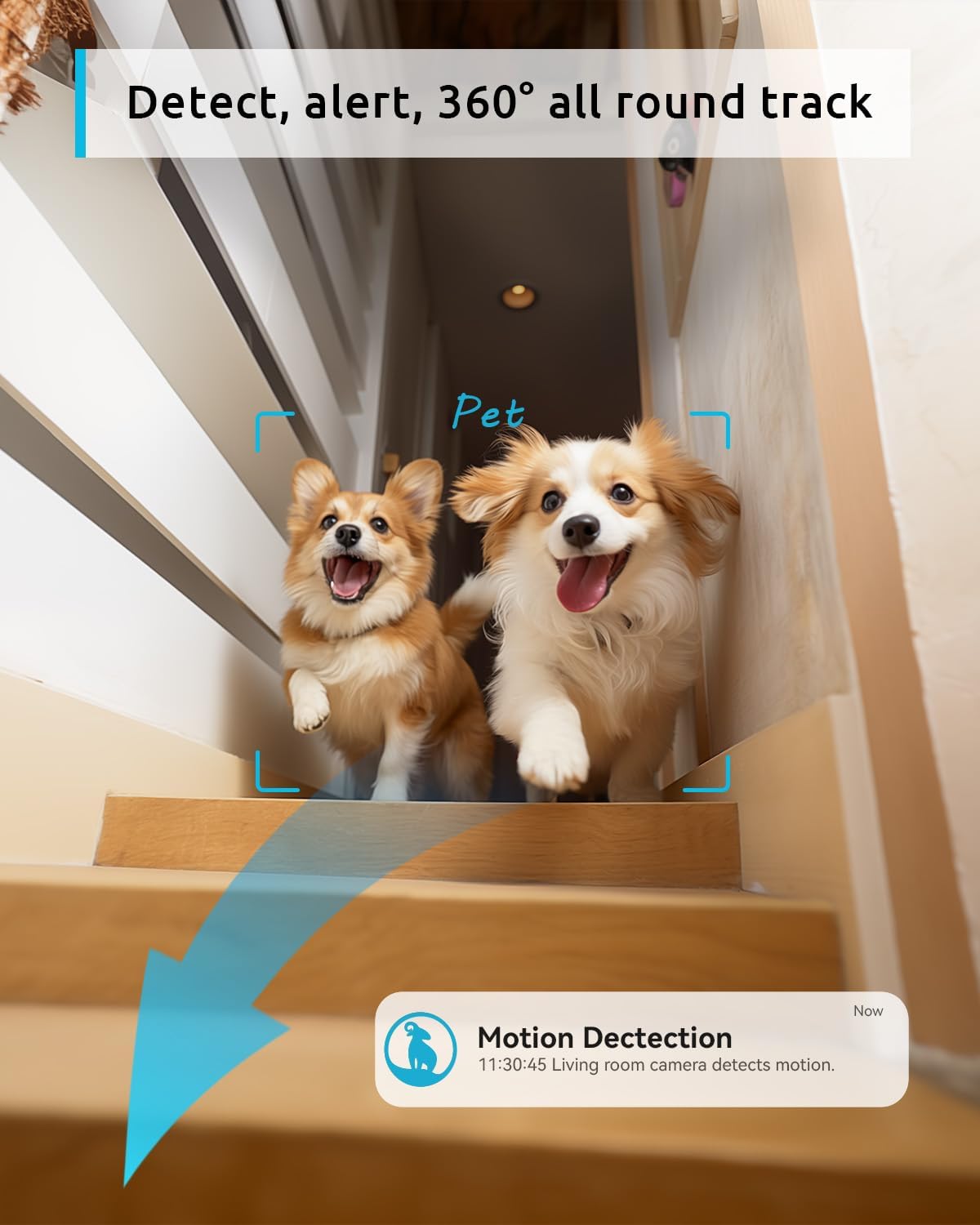 Indoor Security Camera 1080P with 360° View and Night Vision