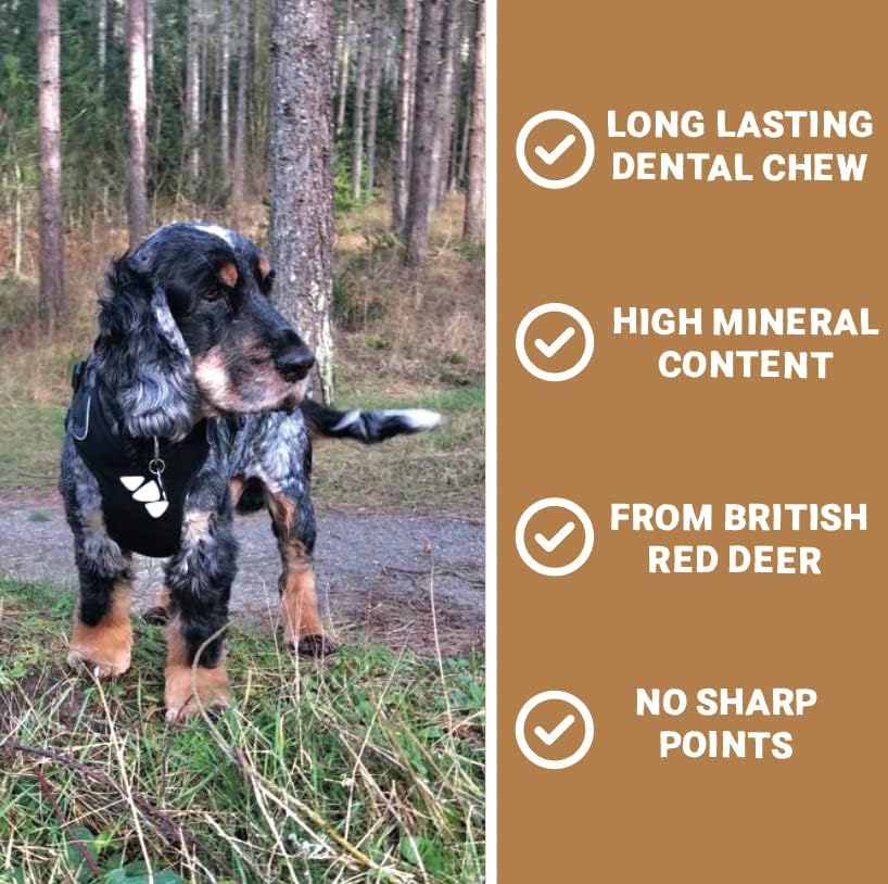 100% Natural 1x Deer Antler Stag Horn Dog Chew with Minerals & Calcium