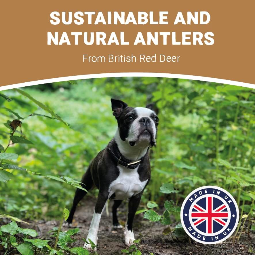 100% Natural 1x Deer Antler Stag Horn Dog Chew with Minerals & Calcium