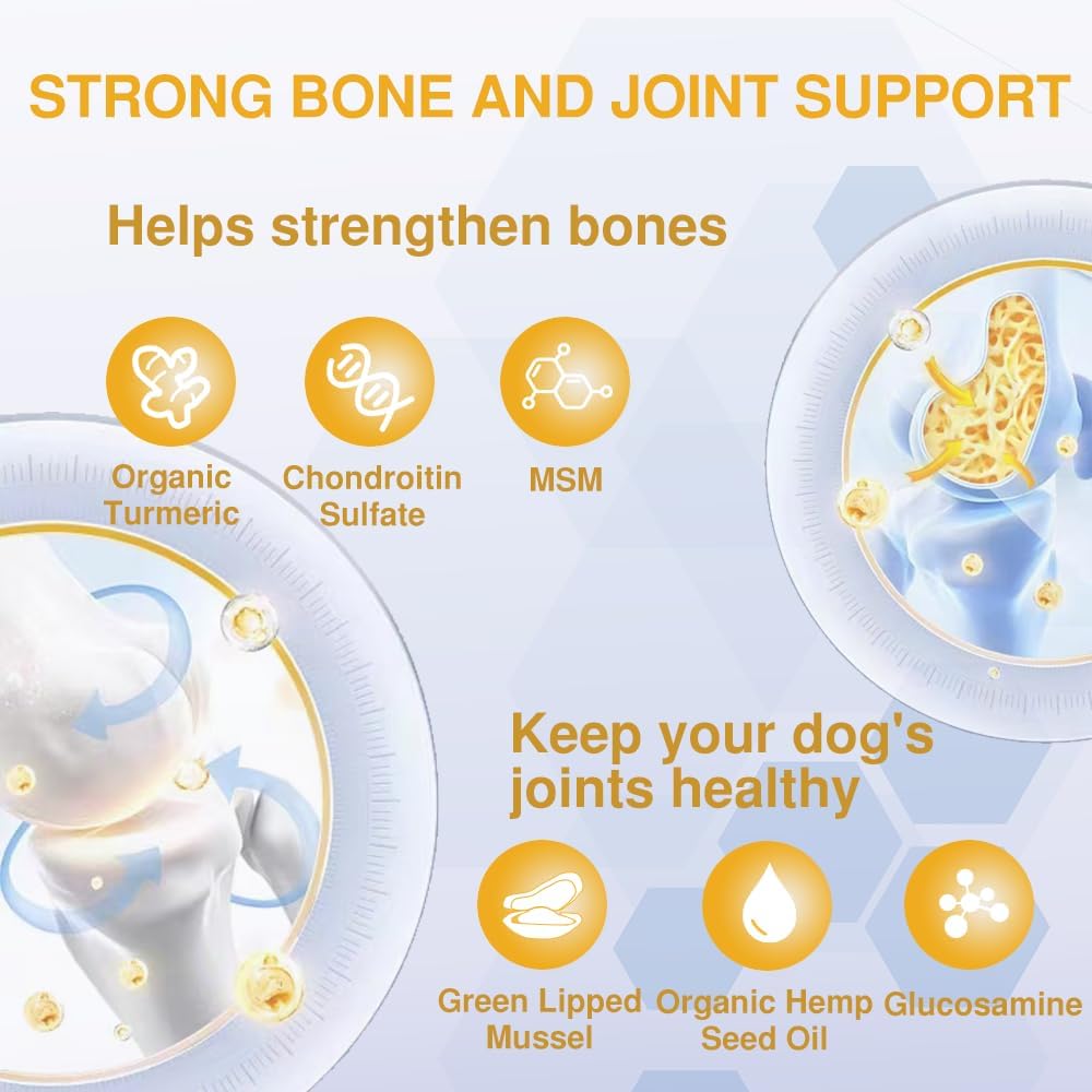 Dog Joint Supplement for Senior Dogs – High Strength Dog Joint Care with Glucosamine, Chondroitin, Turmeric, Salmon Oil Omega 3, Green Lipped Mussel – Joint Care for Dogs – 120 Chew Treats