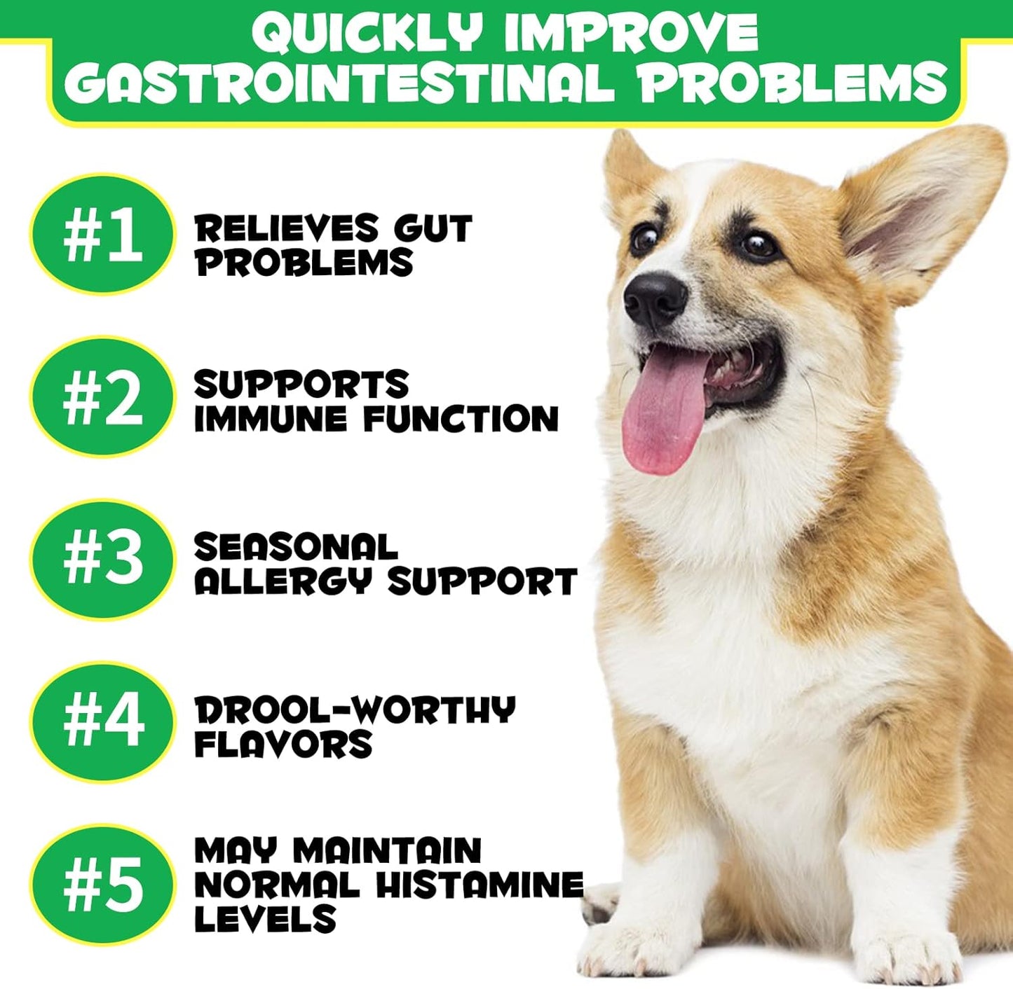 Probiotics for Dogs, Dog Probiotics for Dogs Digestive Enzymes, Gut Health, Itchy Skin, Allergies, Yeast Balance