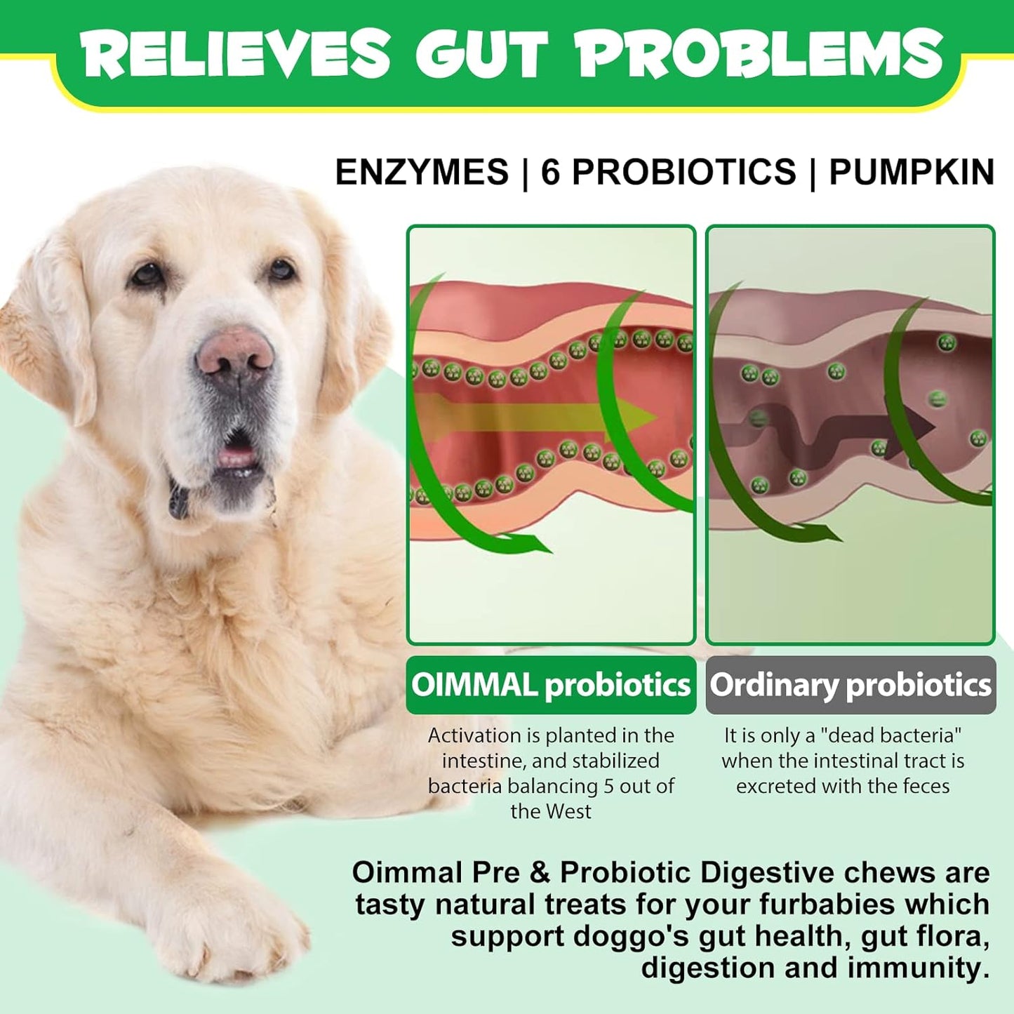 Probiotics for Dogs, Dog Probiotics for Dogs Digestive Enzymes, Gut Health, Itchy Skin, Allergies, Yeast Balance