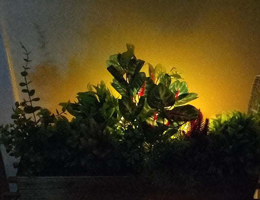 Plug in Night Light with Dusk to Dawn Photocell Sensor