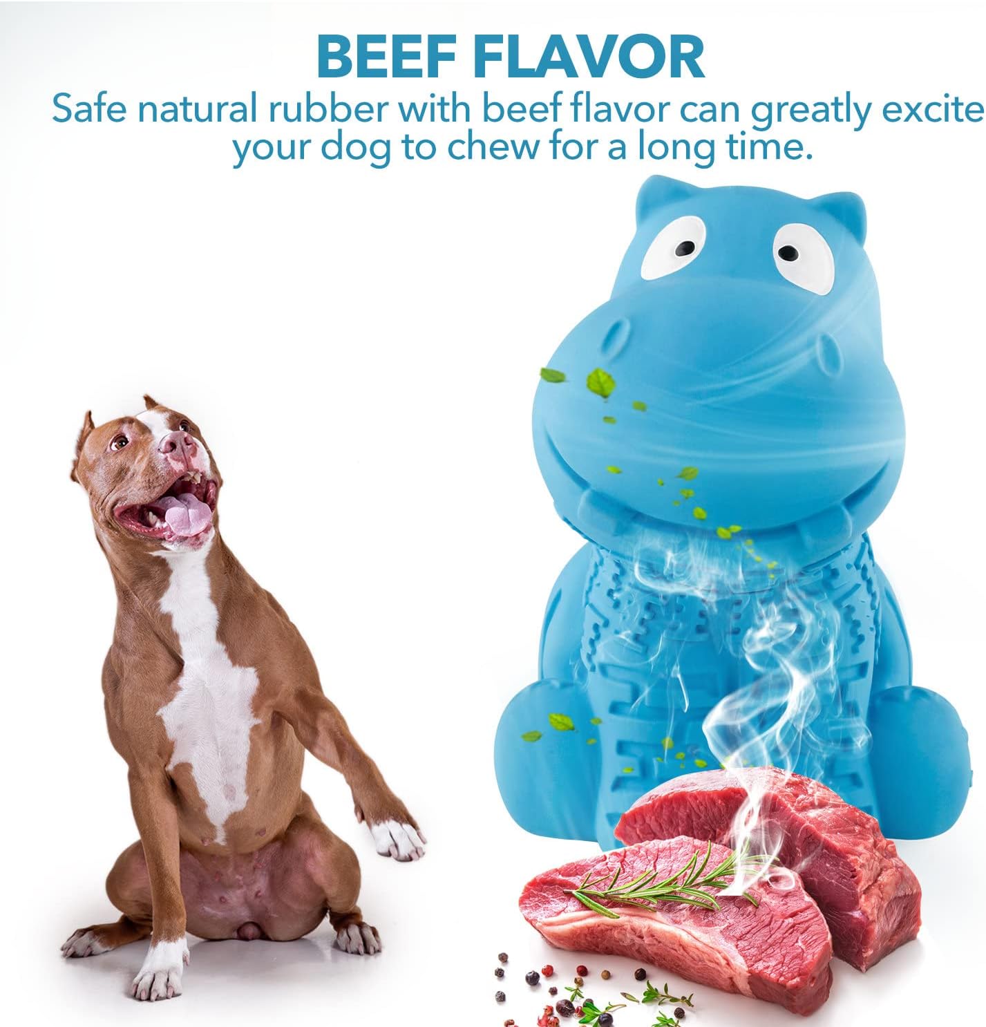 Squeaky Dog Toys - Durable Latex & Natural Rubber Toys for Aggressive & Heavy Chewers