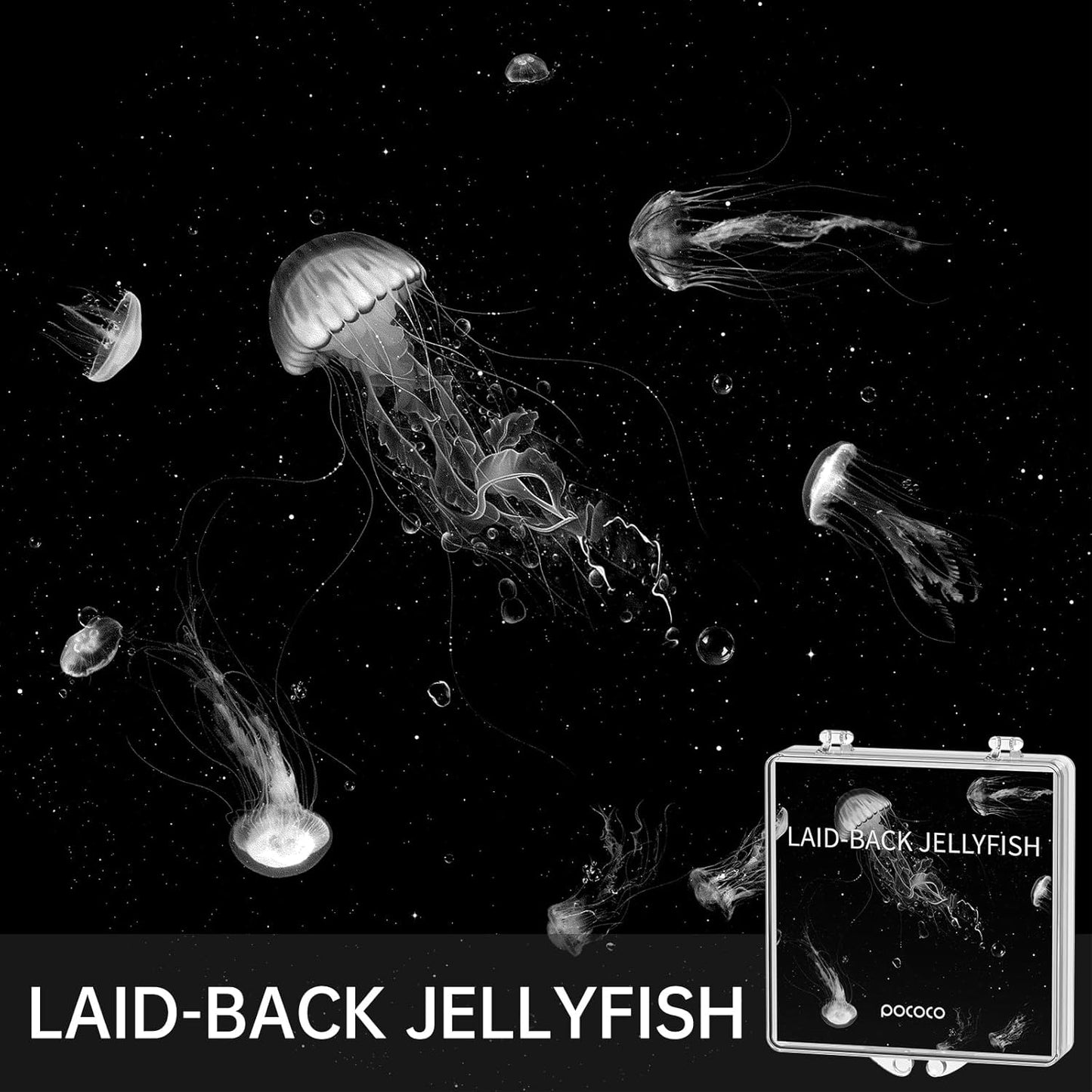 Realistic Discs for POCOCO Galaxy Lite Star (Projector not included) Home Planetarium, 5k Ultra HD, 3 Pieces - 3 Discs without Projector