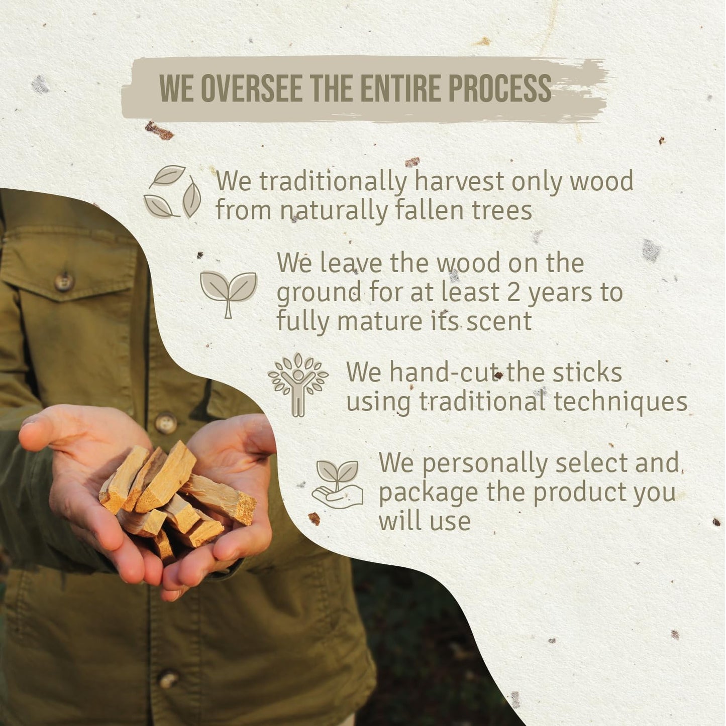 Sticks Popular Ayabaca from Peru - 8 Wood Sticks 10cm - Natural Incense for Stress Relief and Meditation - Palo Santo Wood Wild Harvested & Sustainably Sourced