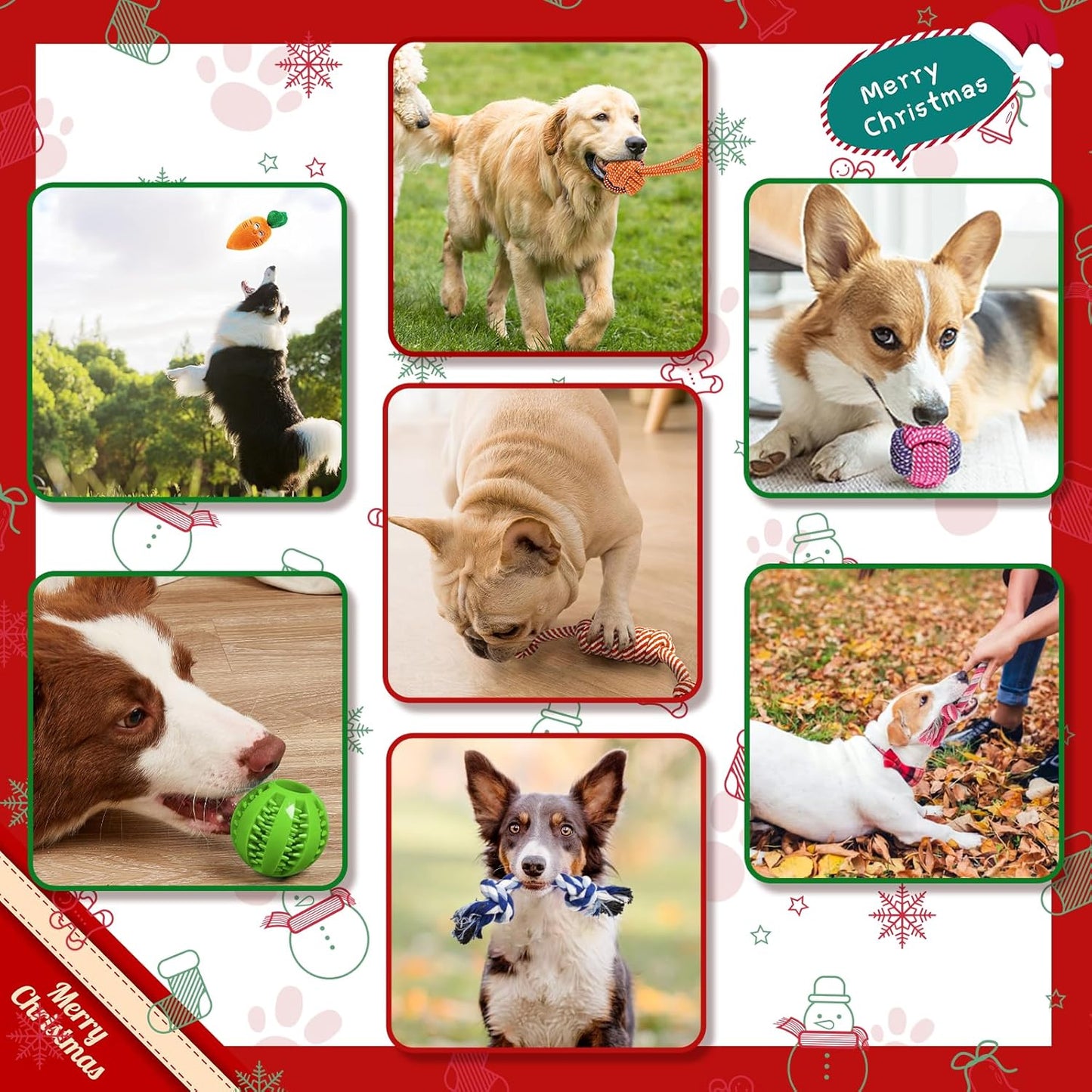 10 Pack Dog Toys Puppy Toys from 8 Weeks Small Dog Interactive Rope Toys Indestructible Tough Puppy Chew Toys