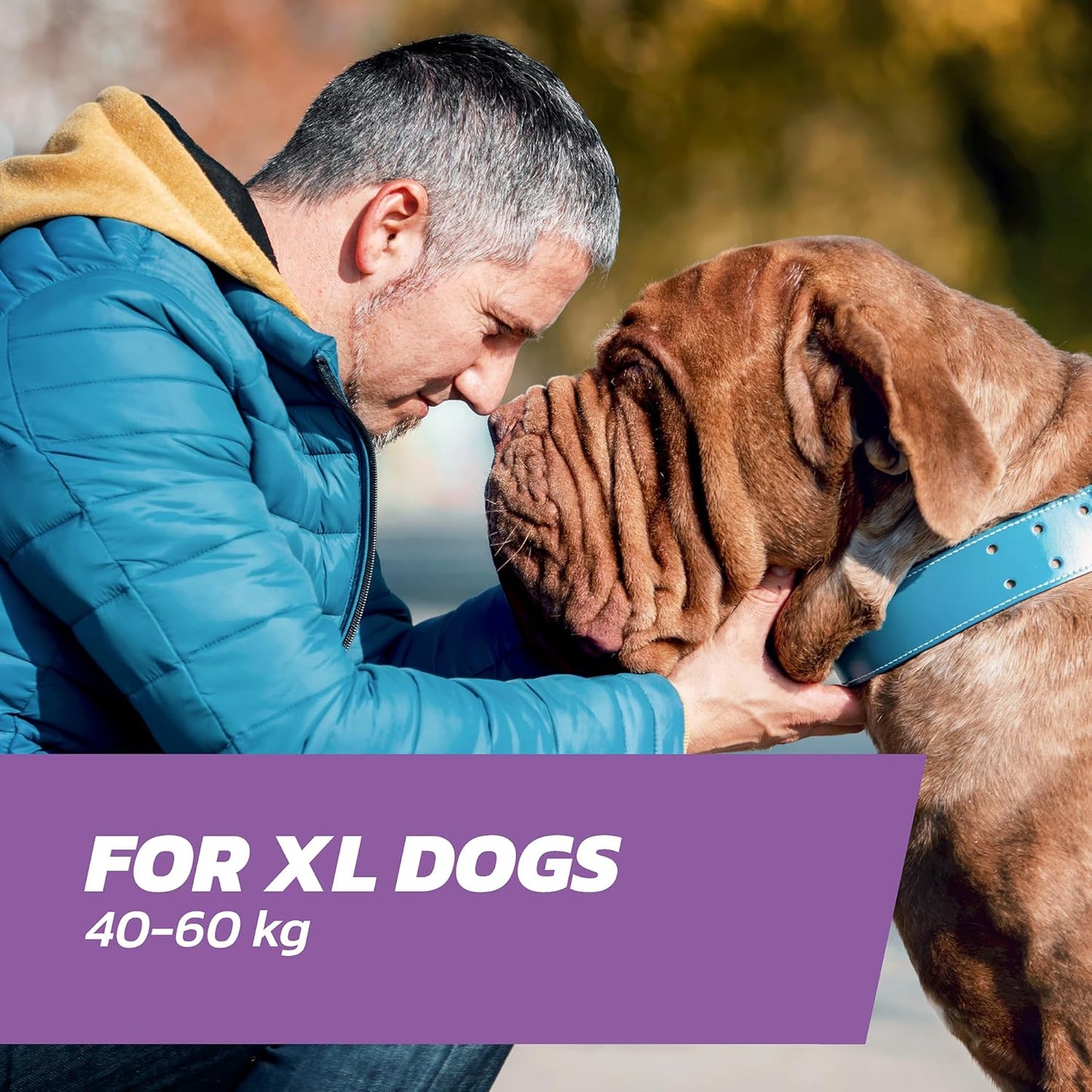 Dog Flea Treatment Extra Large Dogs x 6 - Flea Treatment for Dogs XL Very Large Dog 40-60 kg