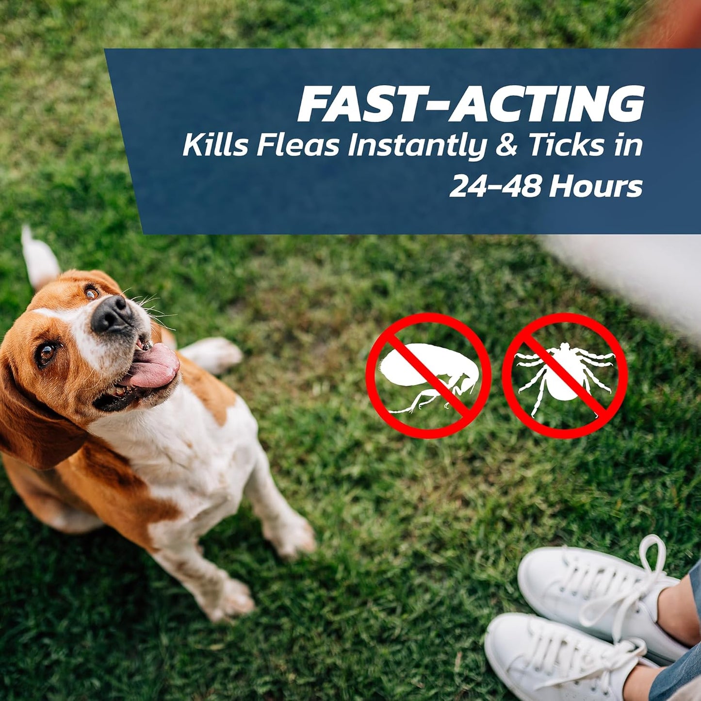 Dog Flea Treatment Extra Large Dogs x 6 - Flea Treatment for Dogs XL Very Large Dog 40-60 kg