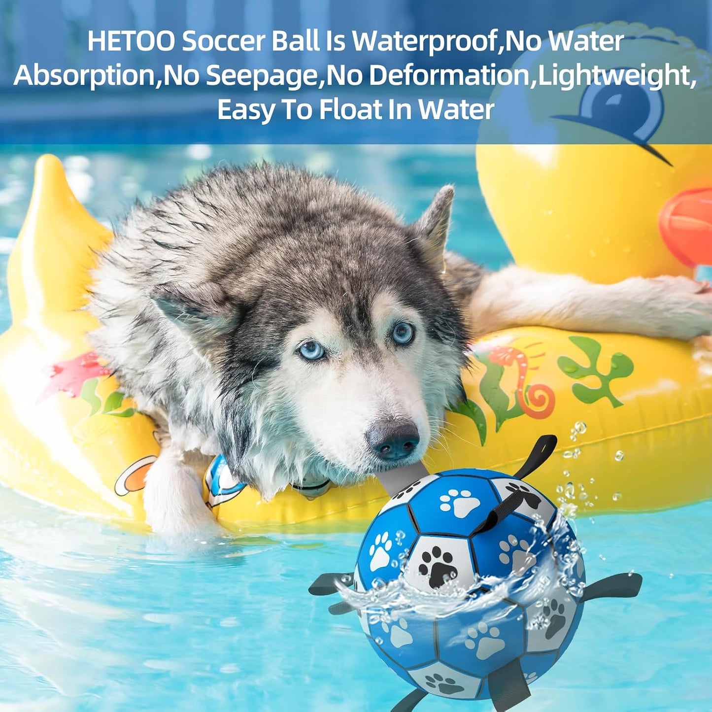 Interactive Dog Football Toy with Webbing - Durable Water Ball for Small to Medium Breeds