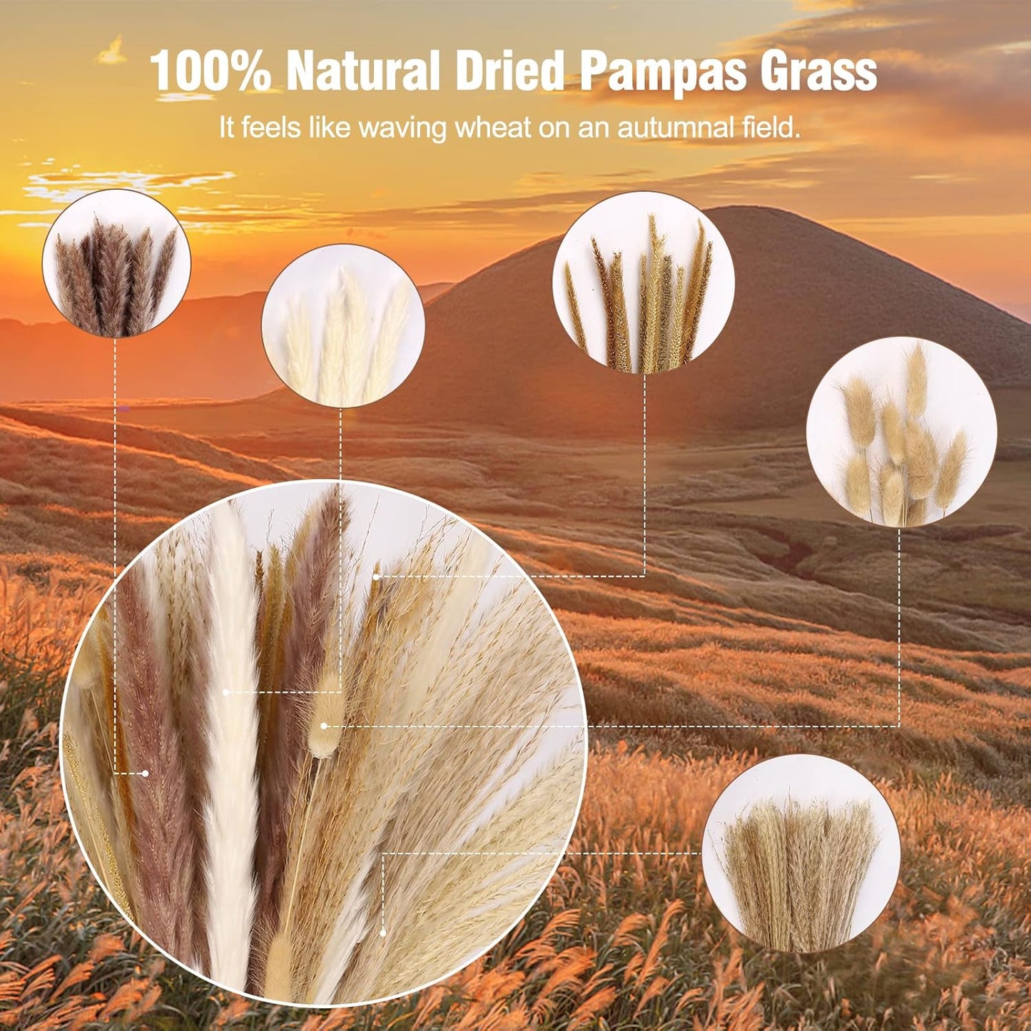 Pampas Grass Decor-5Pcs White Pampas Grass, 10Pcs Brown Pompous Grass, 10Pcs Bunny Tails, 15Pcs Reed Grass,10Pcs Yellow Flowers, Wedding Floral Arrangements Home Decorations