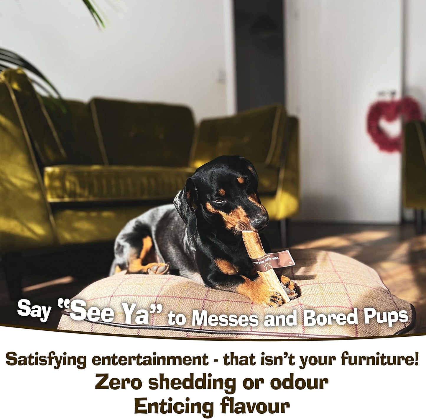 Super Extra Large Antler Dog Chew (350–450g, From 17cm) | Naturally Shed & Sanded | Long-Lasting, Odourless Chew for Moderate Chewers