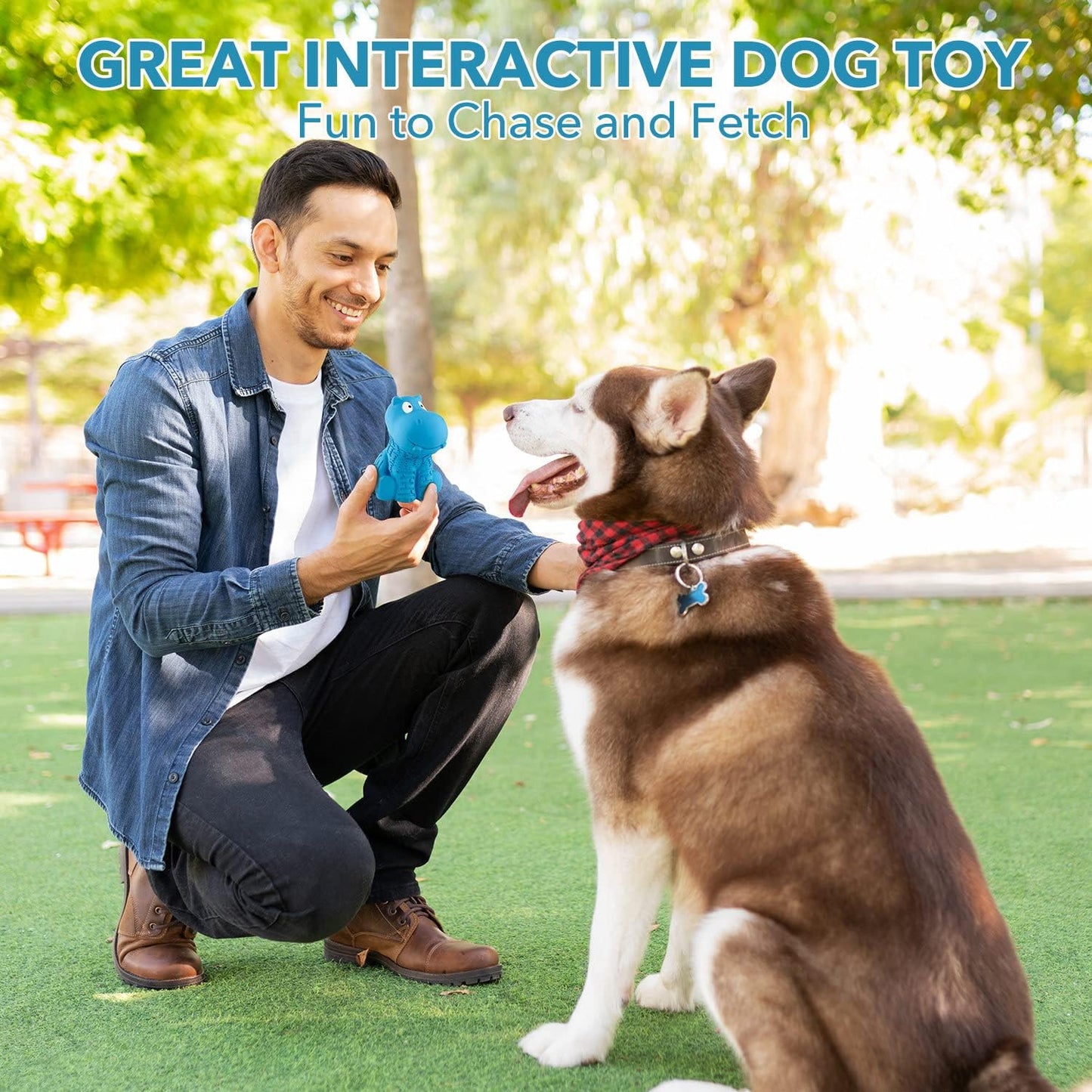 Squeaky Dog Toys - Durable Latex & Natural Rubber Toys for Aggressive & Heavy Chewers