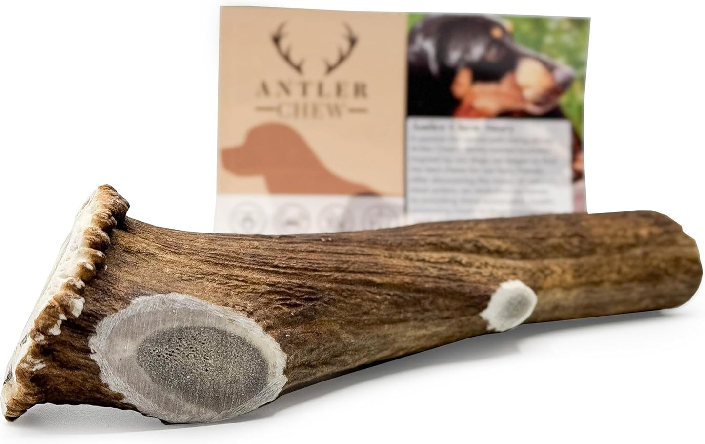 Super Extra Large Antler Dog Chew (350–450g, From 17cm) | Naturally Shed & Sanded | Long-Lasting, Odourless Chew for Moderate Chewers