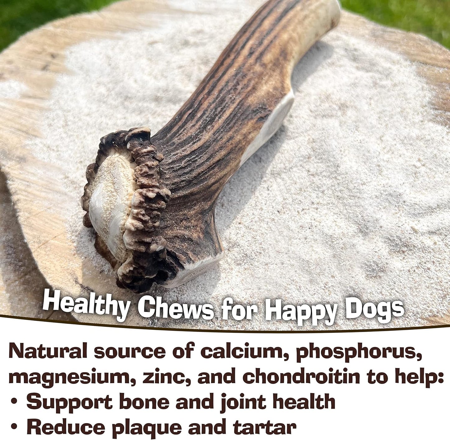 Super Extra Large Antler Dog Chew (350–450g, From 17cm) | Naturally Shed & Sanded | Long-Lasting, Odourless Chew for Moderate Chewers