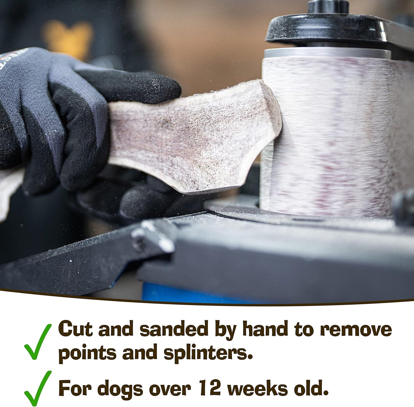 Super Extra Large Antler Dog Chew (350–450g, From 17cm) | Naturally Shed & Sanded | Long-Lasting, Odourless Chew for Moderate Chewers